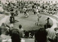Imagem - Apresentação do grupo de dança de Maria Duschenes na antiga arena em 1976